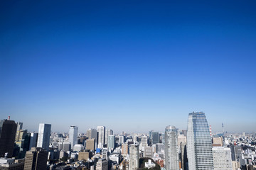 東京タワーからの展望