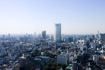 Fototapeta na wymiar 東京タワーからの展望