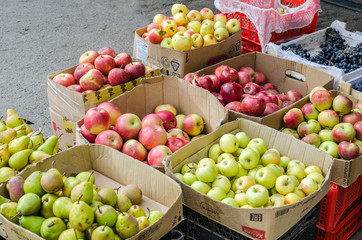 Коробки с яблоками и грушами
