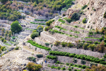 Oman Saiq Plateau