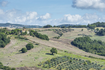 Fototapeta premium Beautiful landscape Tuscany
