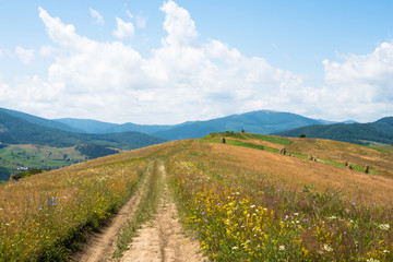 Naklejka premium Dirt road against the landscape in the Ukrainian Carpathians