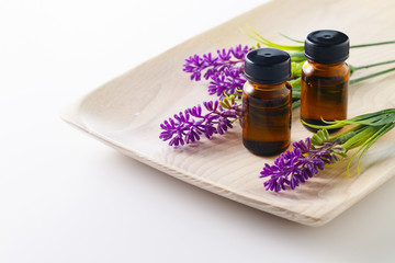 スパ　イメージ　Spa 