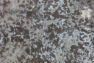 Concrete surface with rich and various texture © rootstocks