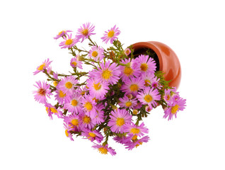 bouquet of flowers in a vase inverted