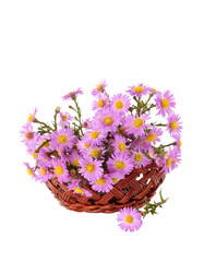 Fototapeta na wymiar bouquet of flowers in a wicker basket