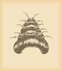 Japanese style wig
