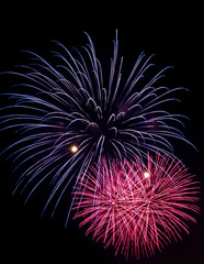 Fototapeta premium Colorful firework