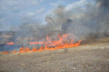 Fire in the field
