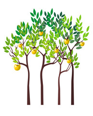 Fototapeta premium Four Apple Trees
