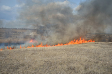 Fire in the field