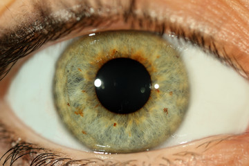 Human eye close-up