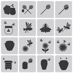 Honey Bee Black icons set3. Vector Illustration eps10