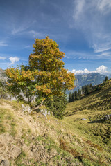 Herbst in den Bergen