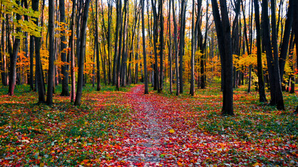 autumn