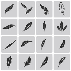 Fototapeta premium Vector black feather Black icons set. Vector Illustration eps10