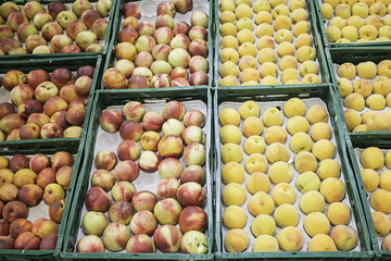Seasonal fruits