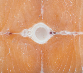 Fototapeta premium red fish,close up salmon slice texture
