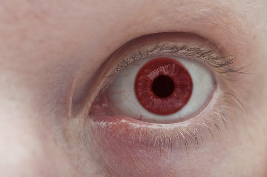 Beautiful red eye close up