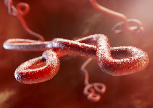 Ebola Virus