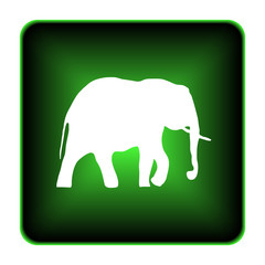 Elephant icon