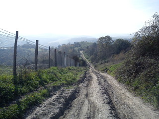 Strada dissestata della campagna toscana