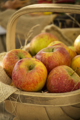 Apples in a basket
