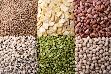 Lentils, fava beans, beans, peas, chickpeas