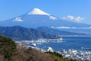 日本平から見た富士山