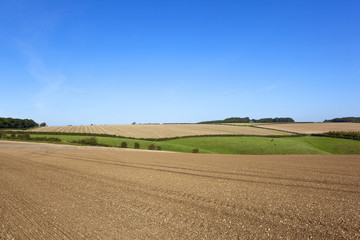Fototapeta na wymiar scenic farmland in autumn