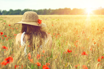 poppies field