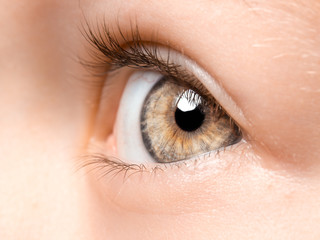 Child's eyes