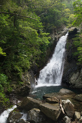 沖縄の滝・比地大滝