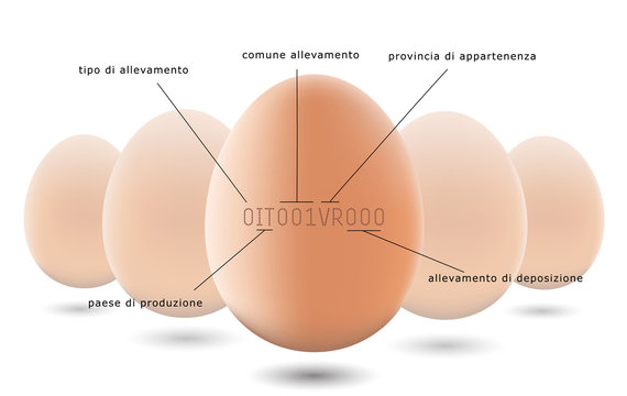 tracking code and freshness on eggs