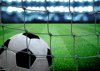 soccer field and the bright lights