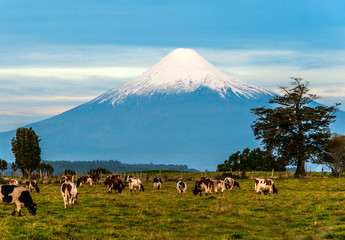Idyllic landscape of Osorno Volcano, Lake Region, Chile