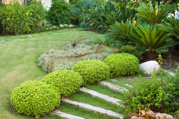 Beautiful landscaping at park