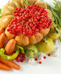 Fresh organic vegetables, isolated on white