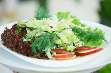 vegetable salad on a plate