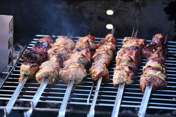 Skewers on barbecue grill, close-up