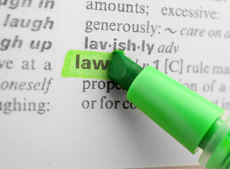 Green marker highlighting word in dictionary