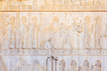 The bas-relief of Persepolis in north Shiraz, Iran