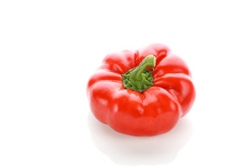 pepper on white background