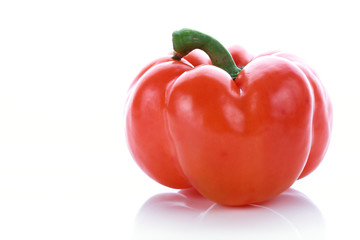 pepper on white background