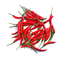 Red chili white background