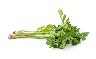 Fresh green celery isolated on white