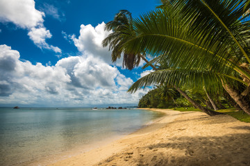 Naklejka na ściany i meble tropical island - sea, sky and palm trees