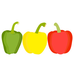 Sweet pepper vector