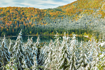 Snowy trees and colorful autumn landscape,St Anna lake,Romania