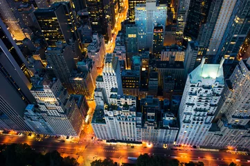 Foto op Plexiglas New York city - sunrise over central park and Manhattan © dell